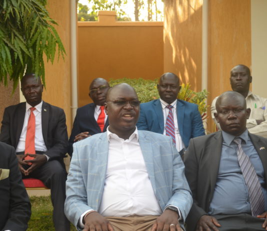 Livestock thefts around South Sudan-Uganda border area cause chaos