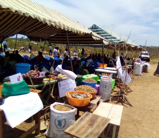 Provide capacity, not handouts