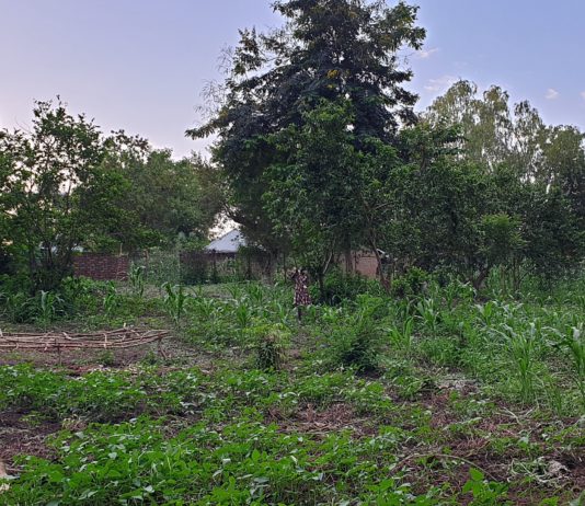 Refugees toughen ties with host community over land use. Believes it builds coexistence