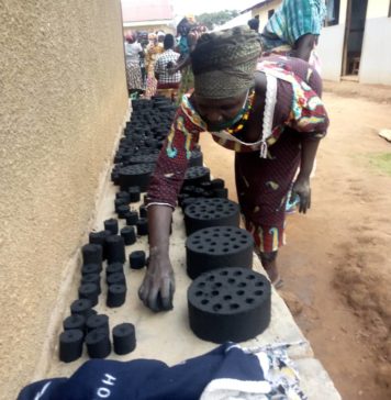 Can briquettes solve the problem of natural resource depletion?