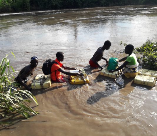 Plight of South Sudanese refugees in Uganda: Risking it all for food